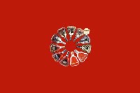 泰安宁阳回收红酒